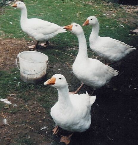 wir werden auf jeden fall mal sehen was es da gibt